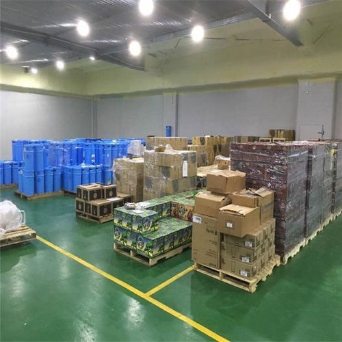 上海到绥化冷链专线 连接南北的高效物流动脉与行业洞察